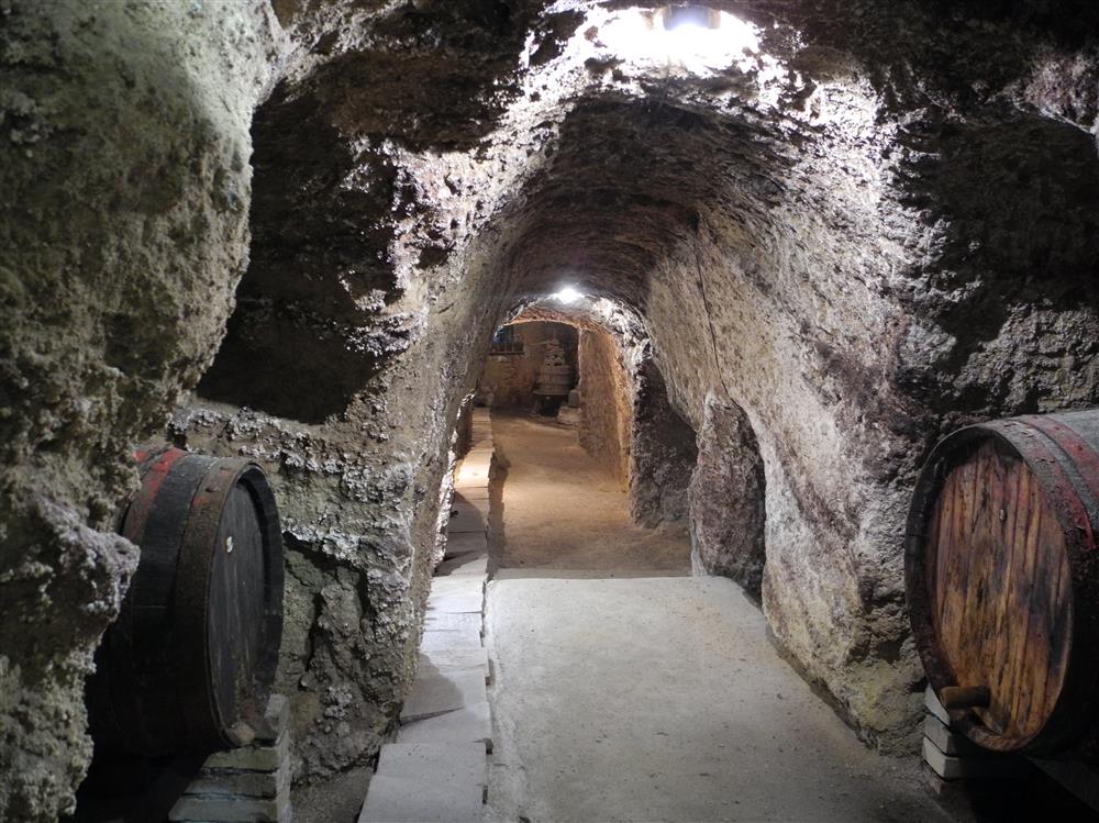 cantina2